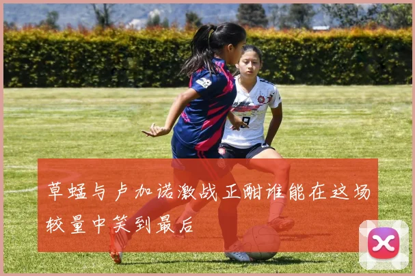 草蜢与卢加诺激战正酣谁能在这场较量中笑到最后