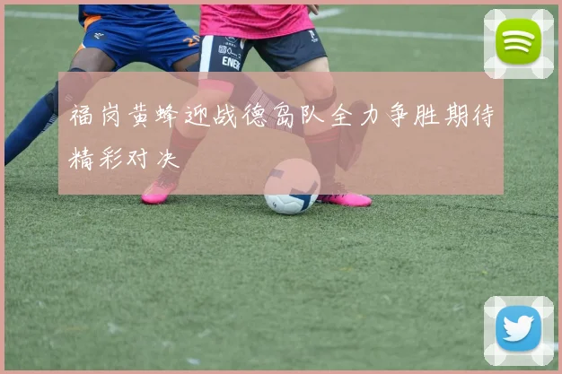 福岗黄蜂迎战德岛队全力争胜期待精彩对决