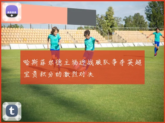 哈斯菲尔德主场迎战狼队争夺英超宝贵积分的激烈对决
