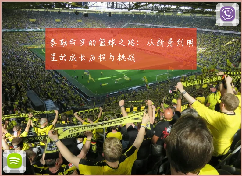 泰勒希罗的篮球之路：从新秀到明星的成长历程与挑战
