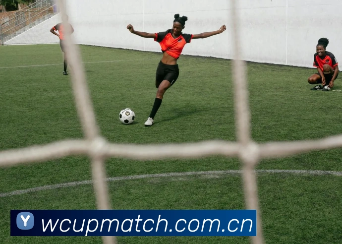 多媒体互动体验