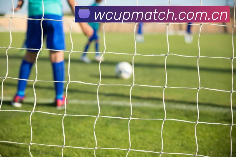 世界杯竞彩APP 高清赛事图